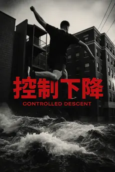 Controlled Descent poster