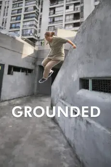 Grounded poster