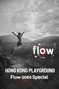 Hong Kong Playground poster