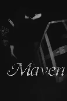 Maven poster