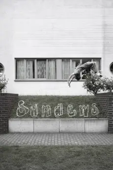 Sundews poster