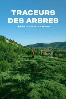 Traceurs Des Arbres poster