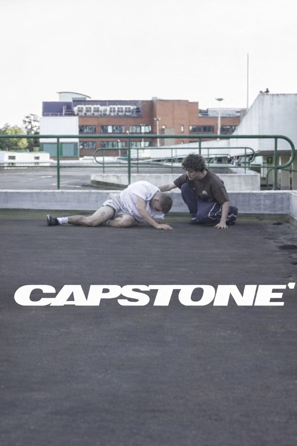 Capstone Verky BTS