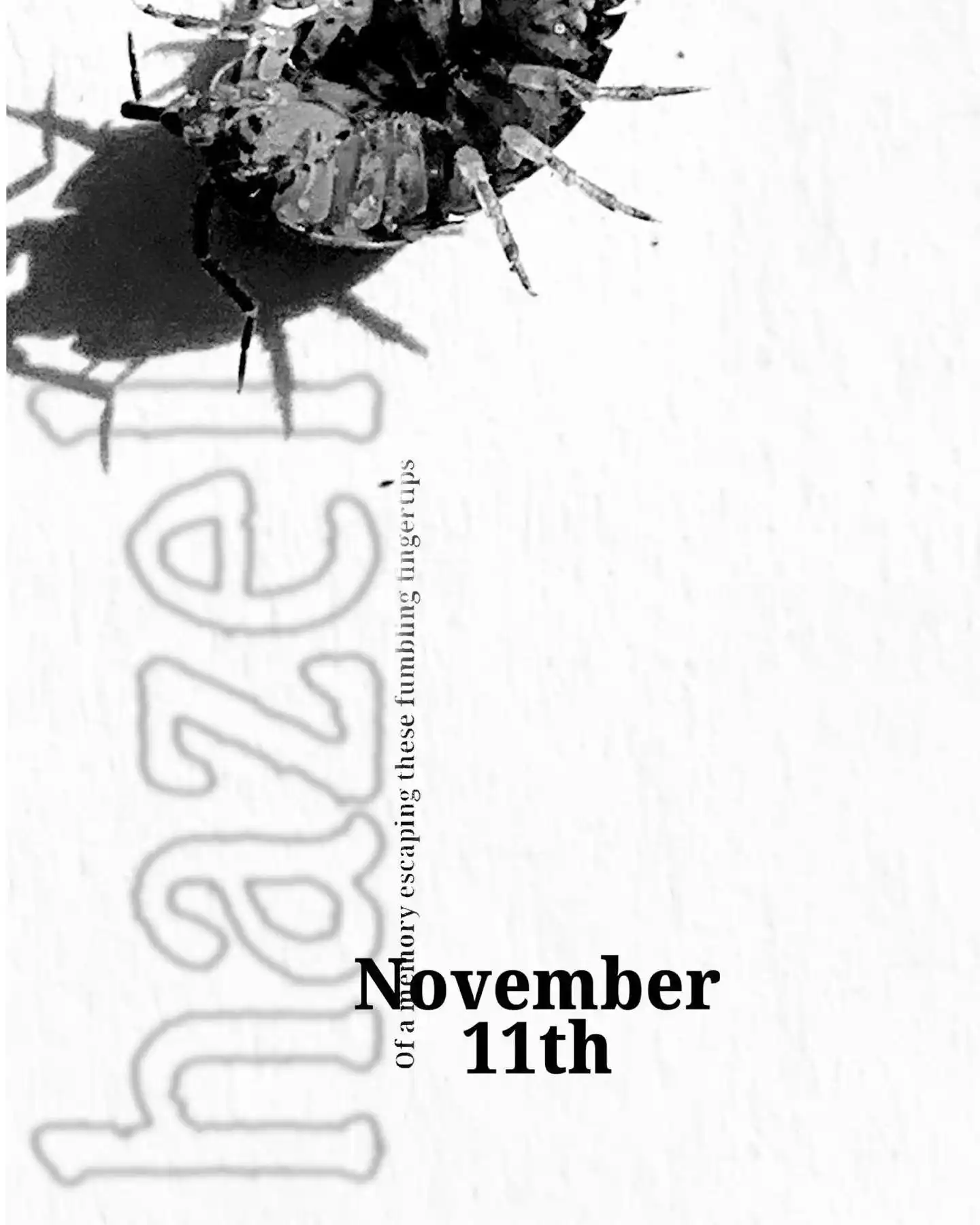 Hazel poster