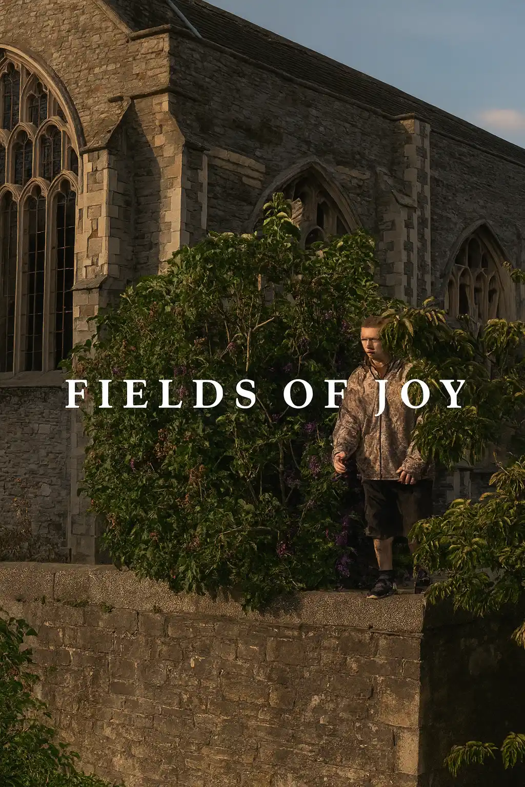 FIELDS OF JOY